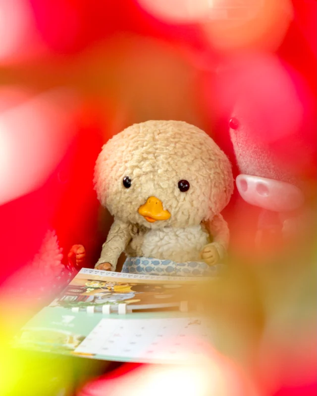 おしらせ | Tokyo Togari's official HP