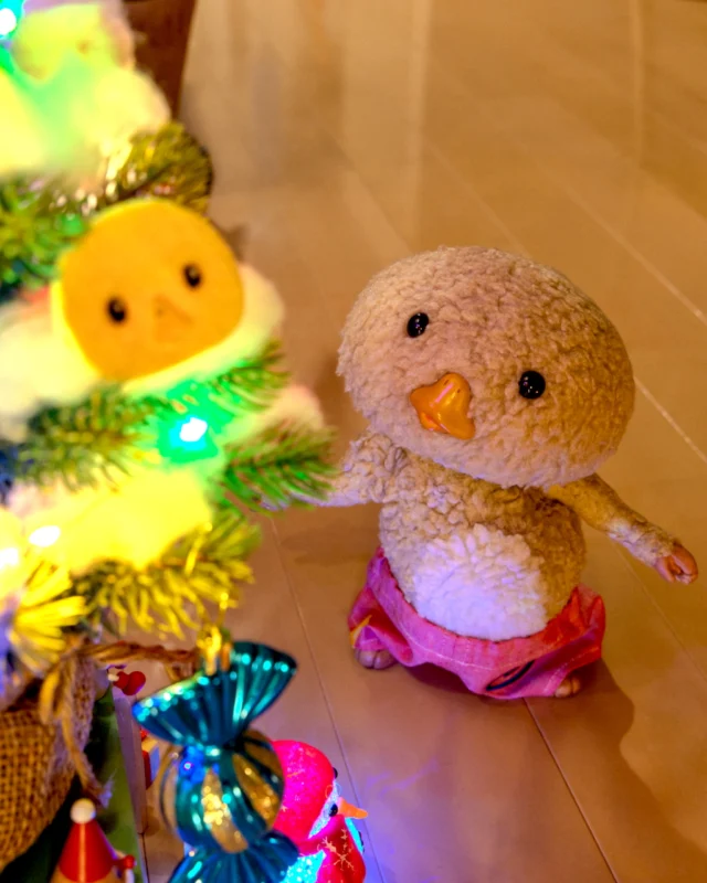 東京トガリ公式HP本日オープン！ | Tokyo Togari's official HP